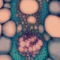 Miss U feat. Mady & Vi