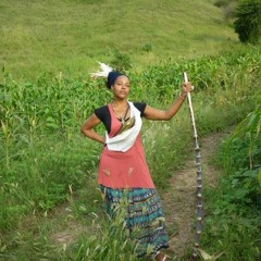 COUNTRY SIDE - NISH WADADA x ZION TRAIN (Universal Egg)