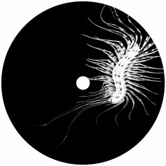 Morbid Dream (131_bpm)