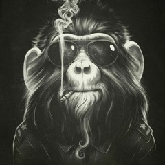 monkey of the party (Javier Hdz original mix )