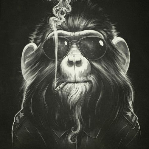 monkey of the party (Javier Hdz original mix )