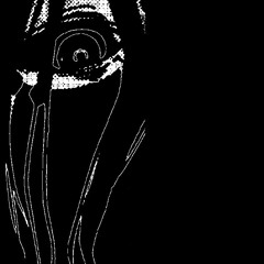 wraiths