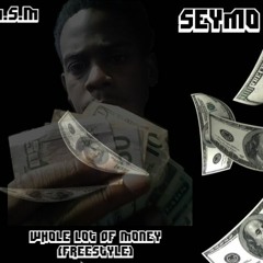 Whole Lot Of Money (Freestyle)
