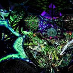 HOLY TRiNiTY - Wonder Forest _Clasic - One