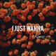 on I Just Wanna (freestyle)