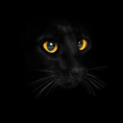 Resident Evil 1 HD Remaster - Safe Room