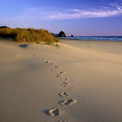 Clear Skies [Prod by Reen]