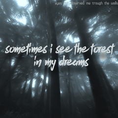 sometimes I see the forest in my dreams