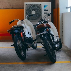 (demo) có mấy ai