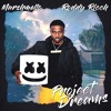 Marshmello ft Roddy Rich - Project Dreams (slowed + reverb)