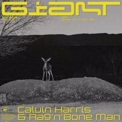 Calvin Harris,Rag'n'Bone Man - Giant (Jimmy Kennedy Bootleg Mix)