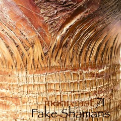 mehrcast 71 - Fake Shamans