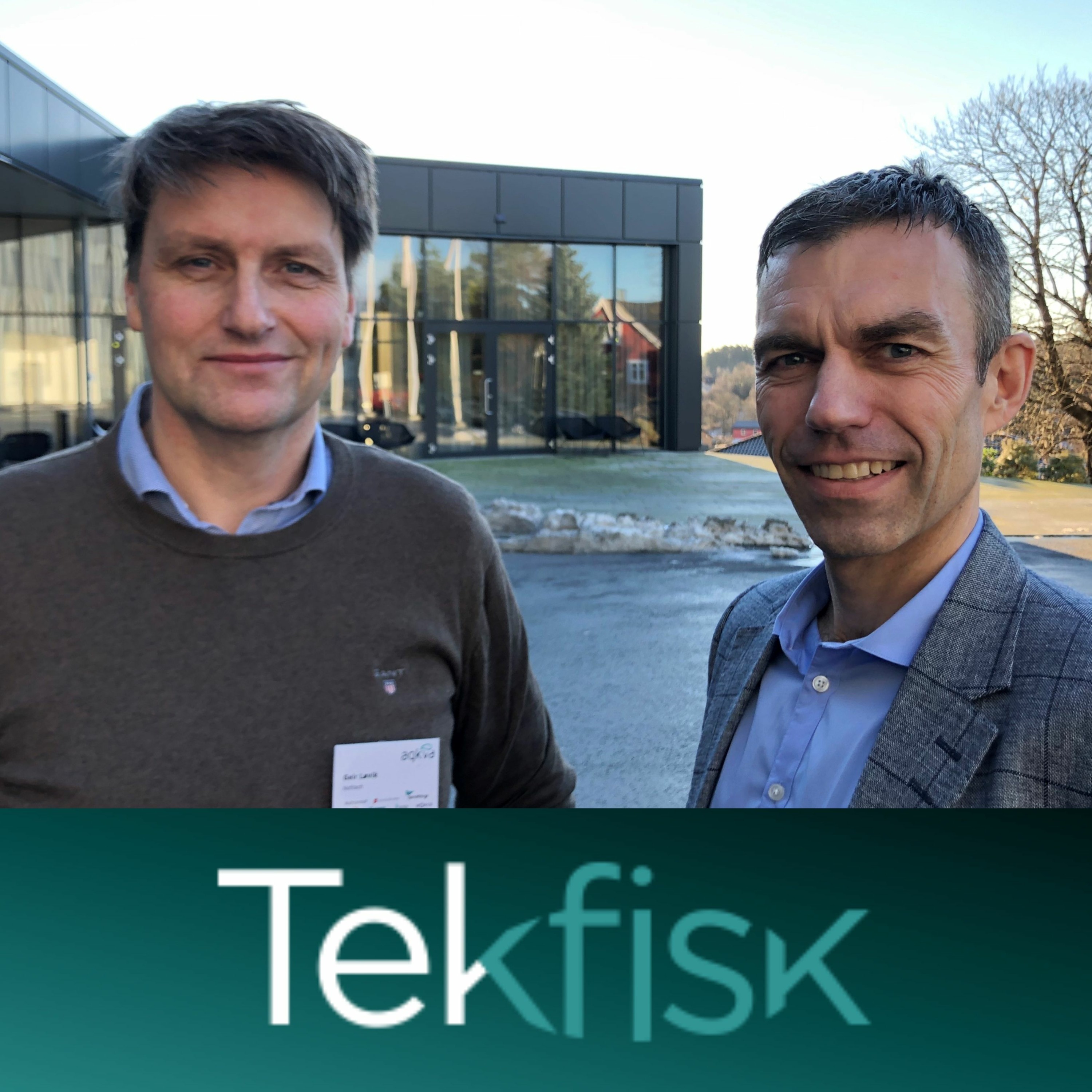 Tekfisk