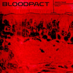 BLOOD PACT