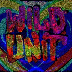 Can’t find me | WILD UNIT MIXTAPE |
