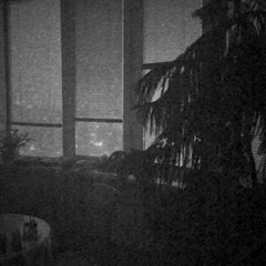 i think i'm about to lose