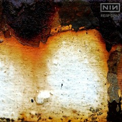 Nine Inch Nails - Reaps Remixes 002