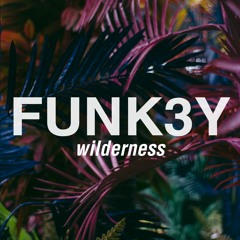 Wilderness (Original Mix)