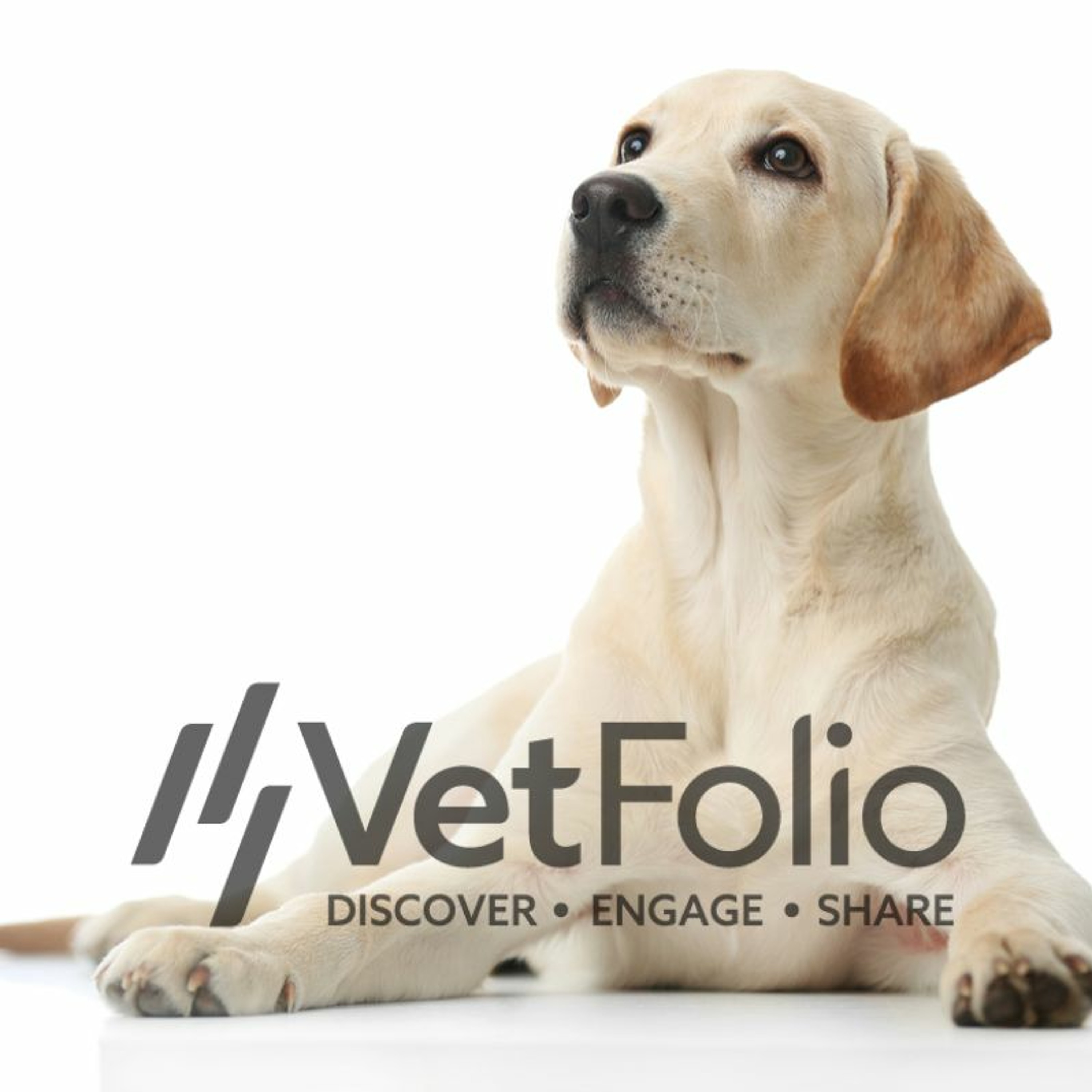 Topical Tick Control or Oral Tick Control: What are the differences you need to know? episode artwork