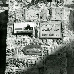 يا ربِّ إنّي ناشدٌ محمدا