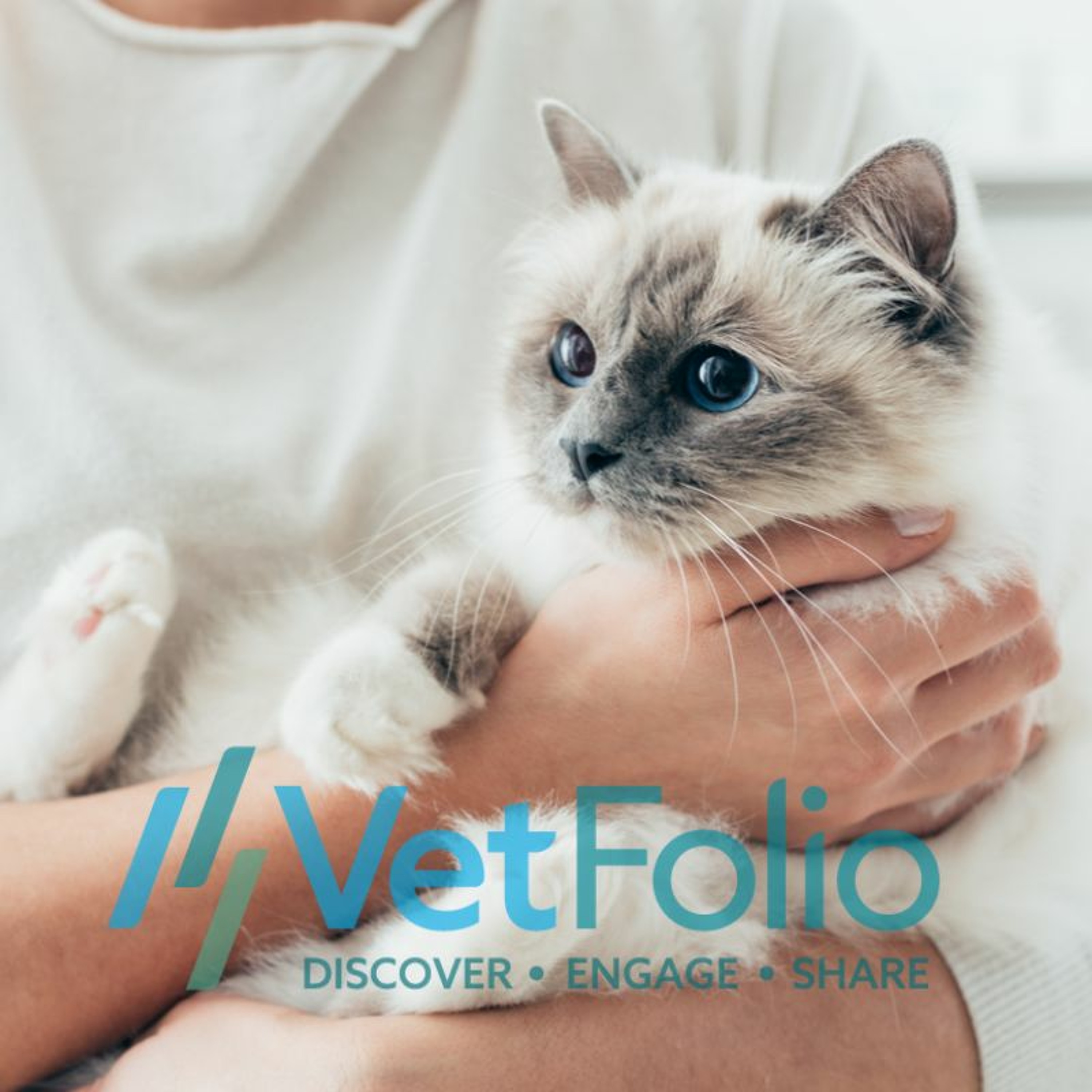 Purring Medicine: Tick-borne Disease of Cats episode artwork