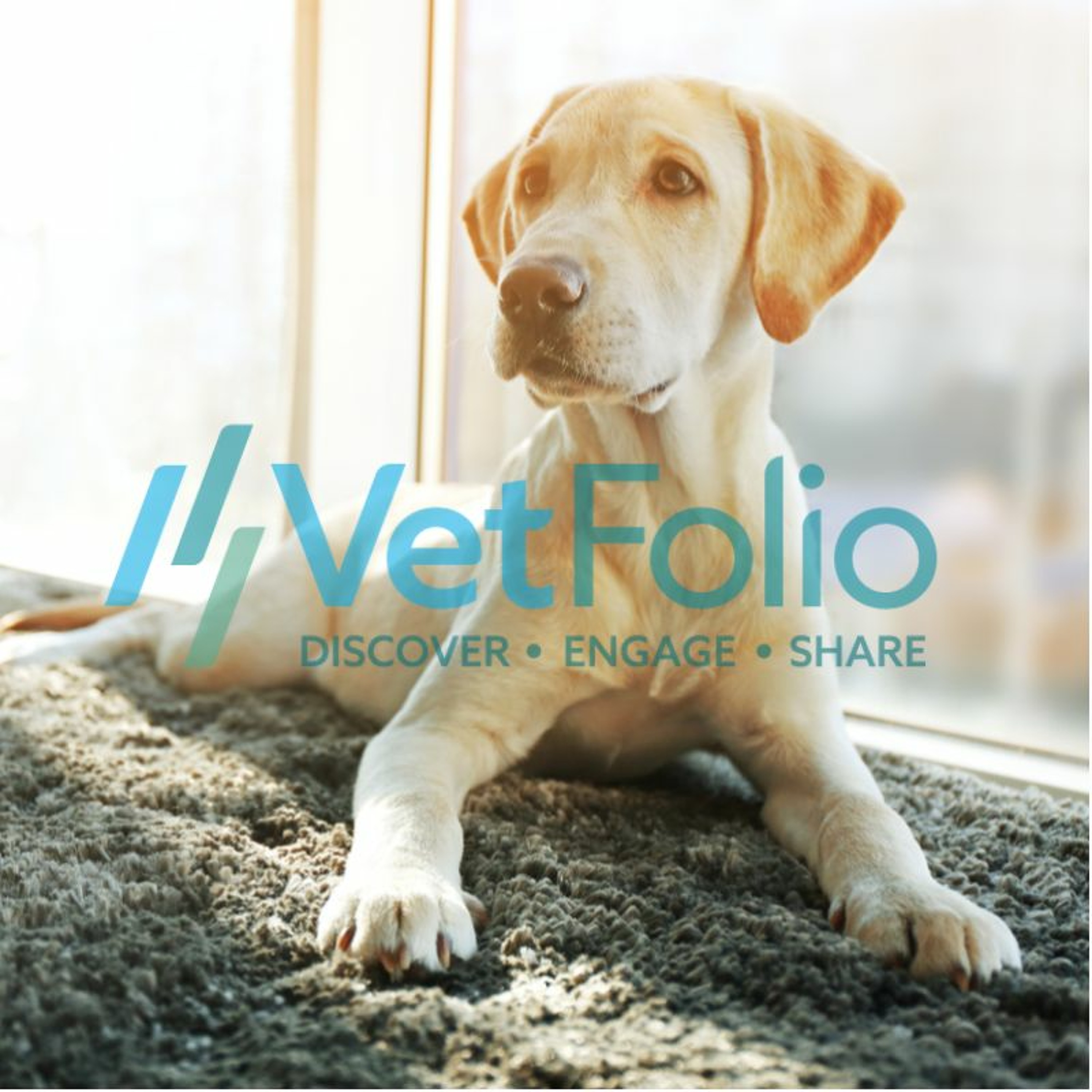 VetFolio Voice