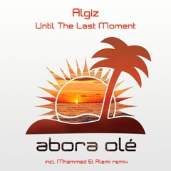 Algiz - Until The Last Moment (Original Mix)