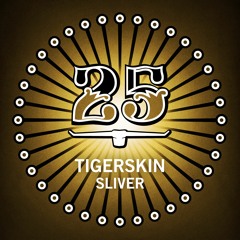 Premiere: Tigerskin - Sliver (Robert Babicz Remix) [Bar 25 Music]