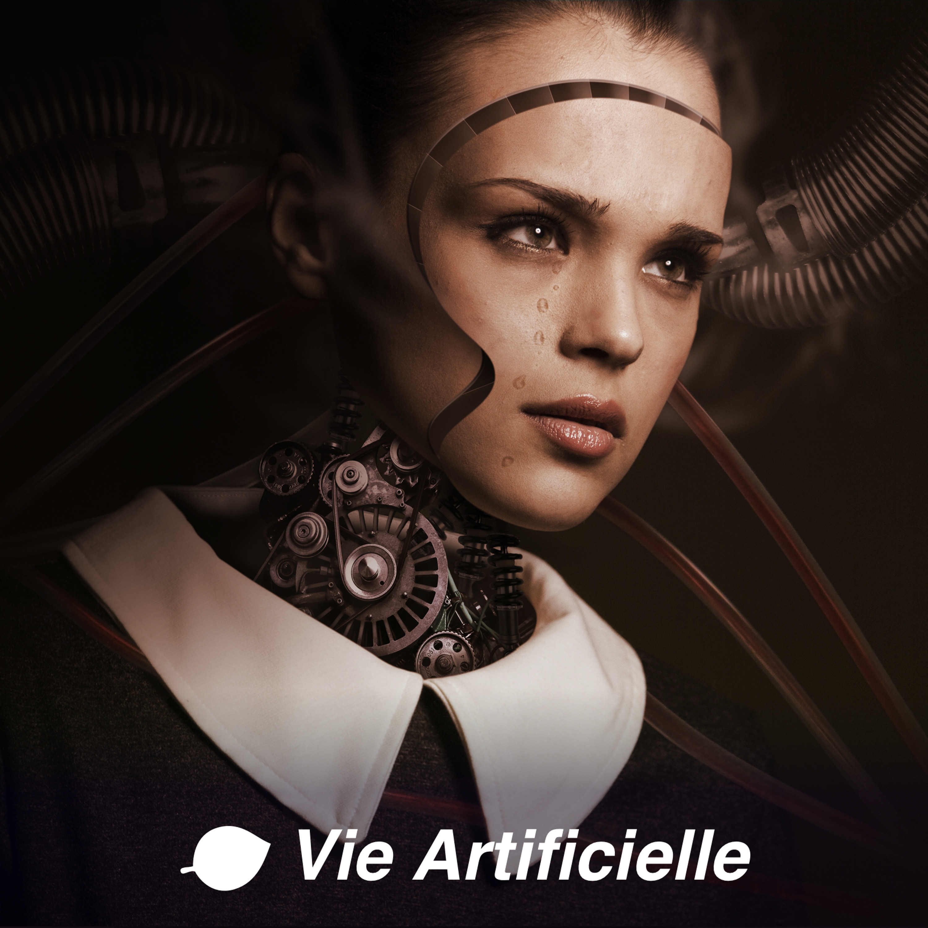 [VA] #23 - Les Systèmes Complexes