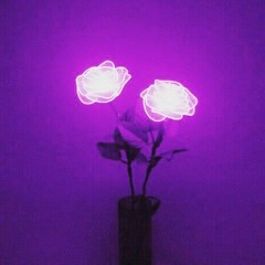 phantoms.