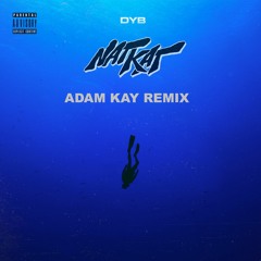 NATKAT - Dyb (Adam Kay 15.000 PSI Remix)