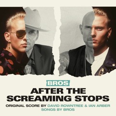After The Screaming Stops - Ian Arber & David Rowntree