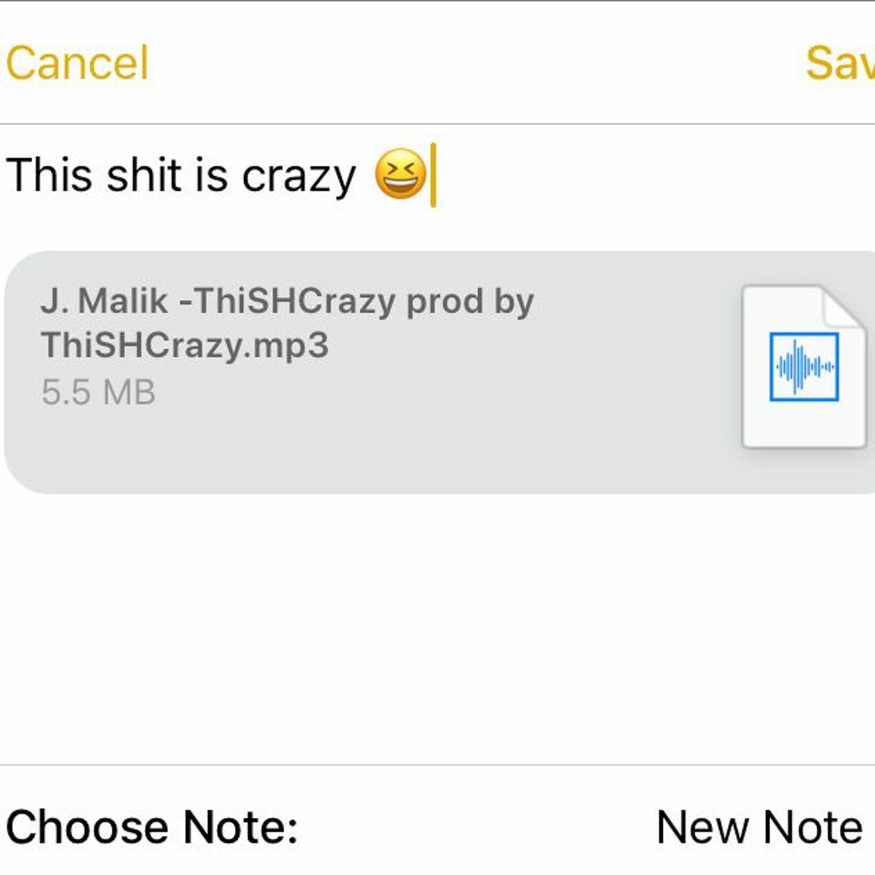 ThiSHCrazy episode artwork