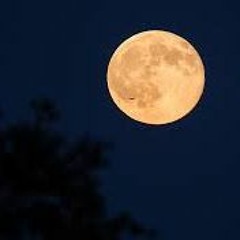 HIJA de la luna / GALISH DJset