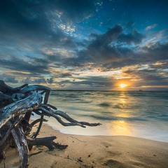 Ms. Lauryn Hill - Feeling Good (Just K Remix)