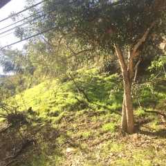 the difficult way - 1:31:19, 10.25 AM