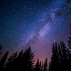 Rayavana - Star Seeker (sample)