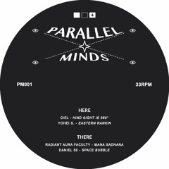 Parallel Minds Vol. 1 - Various Artists