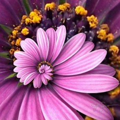 No One To Turn To (feat. Moorea Masa)