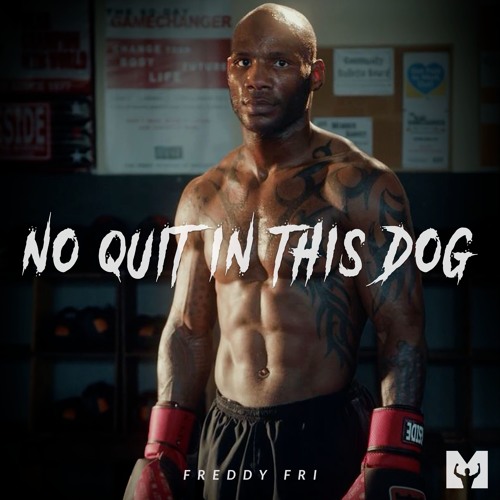 NO QUIT IN THIS DOG - Freddy Fri