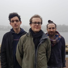 Schofield/Nagel/Salamon