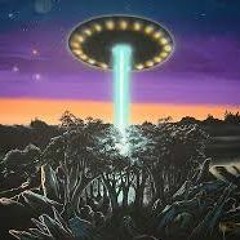 BASS FROM SPACE