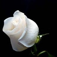بكاء الشيخ عبد الباسط عبد الصمد .. كامل .. مقطع يبكى القلب... جودة عالية HD
