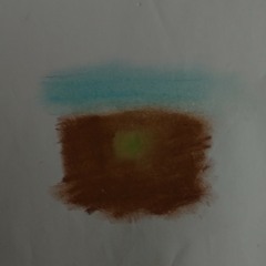 Seed