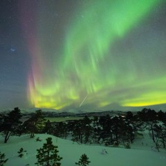 Butthole Surfers "Pepper" (ShrineOfTheWolf remix)