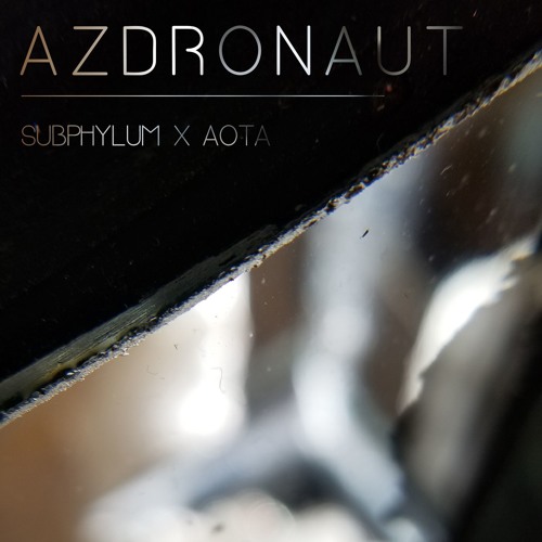 subphylum X AOTA - Azdronaut