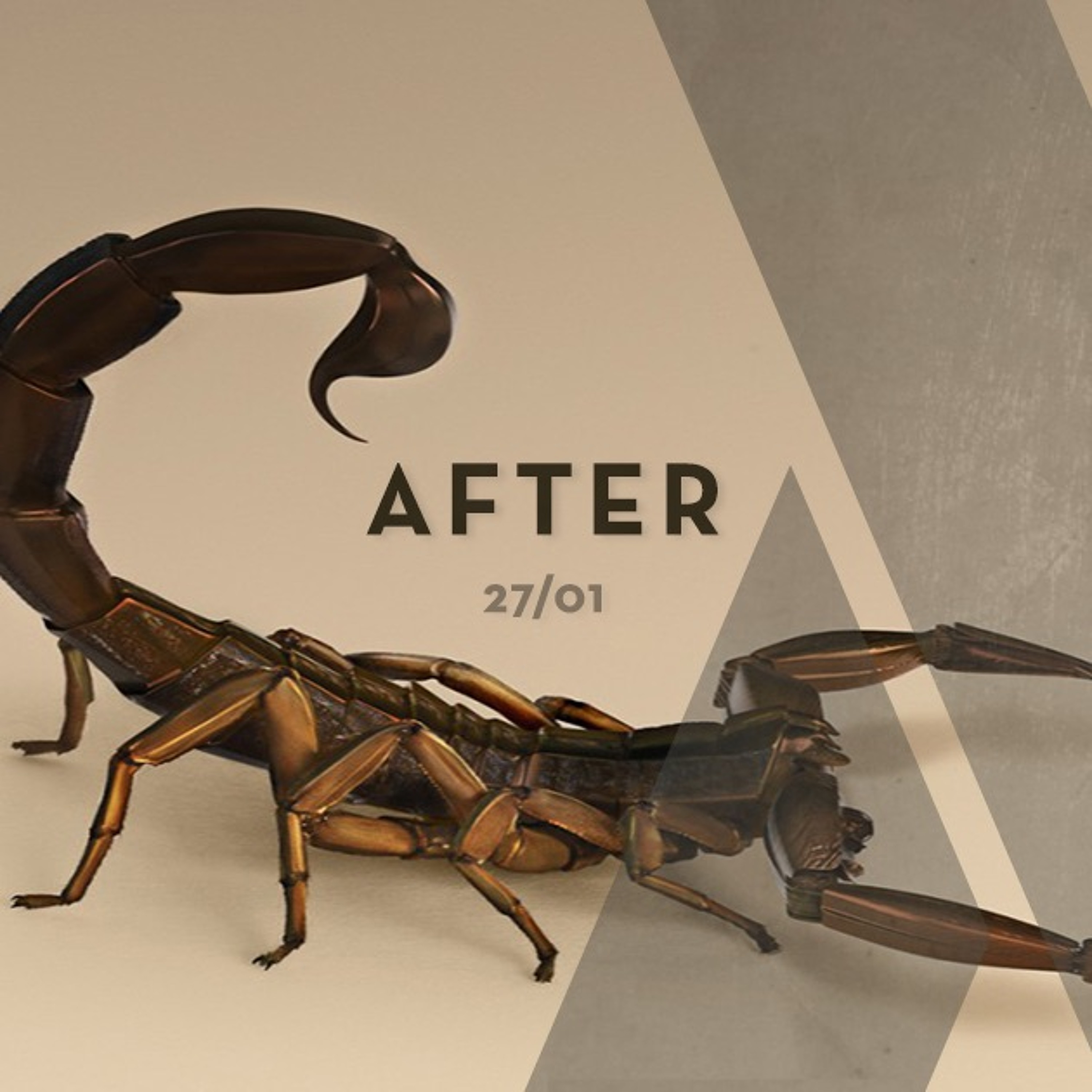 Arcene K