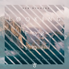 Looking For You (feat. Gavin Beach)