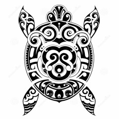 Crazy Turtle Melodic Techno Mix 2019