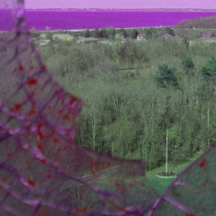 windowpain (prod. nettiebeatz)